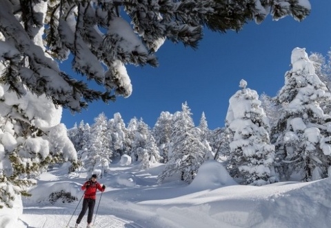 archiwum bulgaria.travel.org