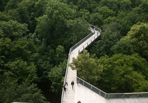 Park Narodowy Hainich - trasa nad drzewami AG