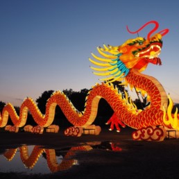 archiwum Luno Festival