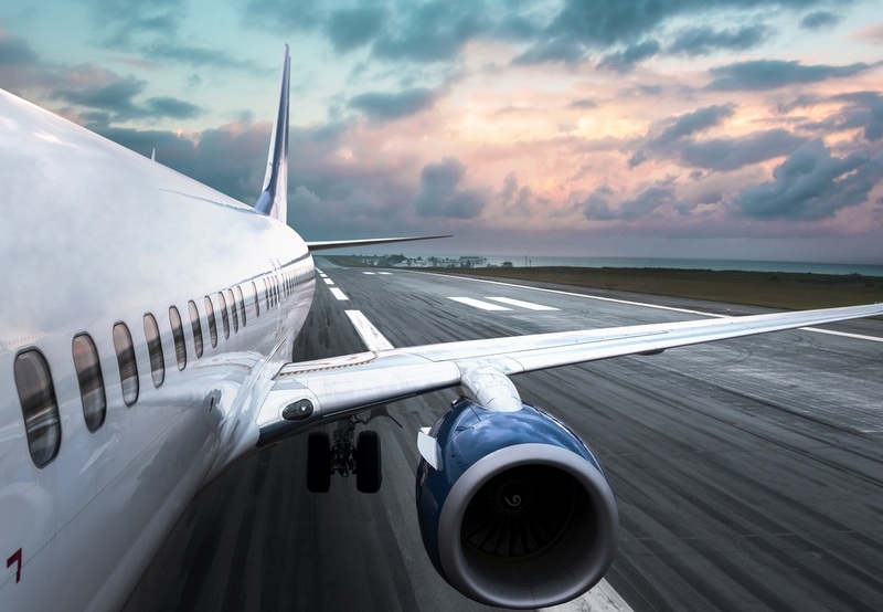 archiwum Amadeus Polska