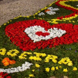 archiwum visitportugal