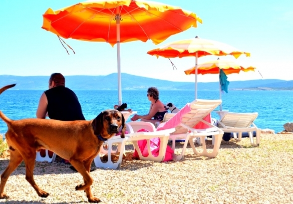 archiwum Chorwacka Wspólnota Zagraniczna