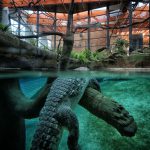 24958284463_09c774ae9c_o