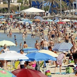 archiuwm maiorcadaily