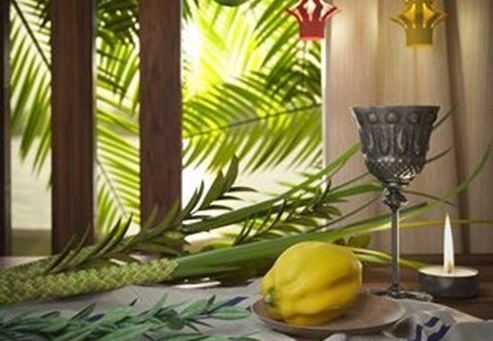 Sukkot archiwum GoIsrael