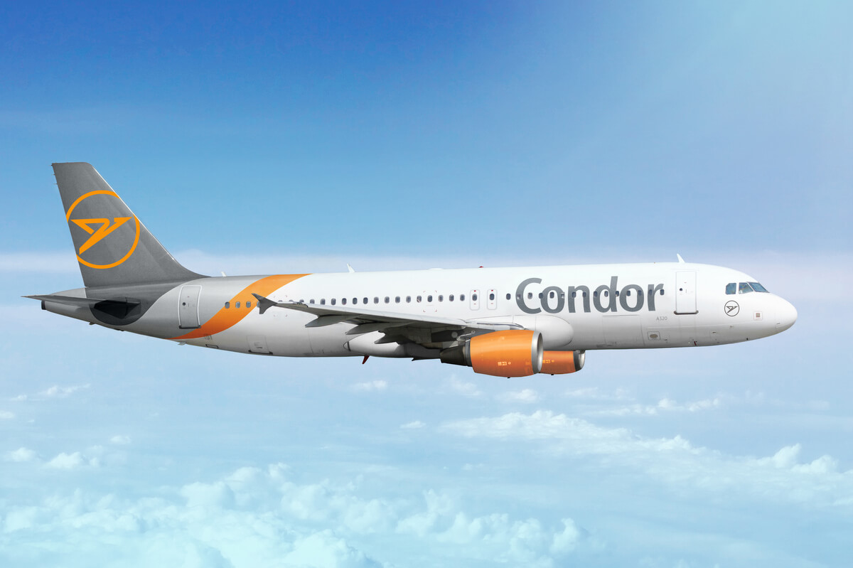 condor