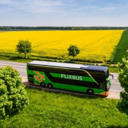 Flixbus pojedzie do krajów bałtyckich
