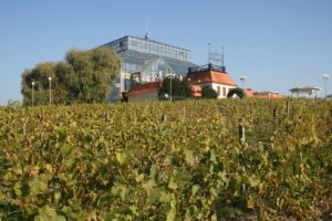 palmiarnia zielona góra