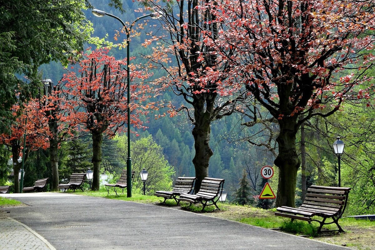 gminy uzdrowiskowe Szczawnica