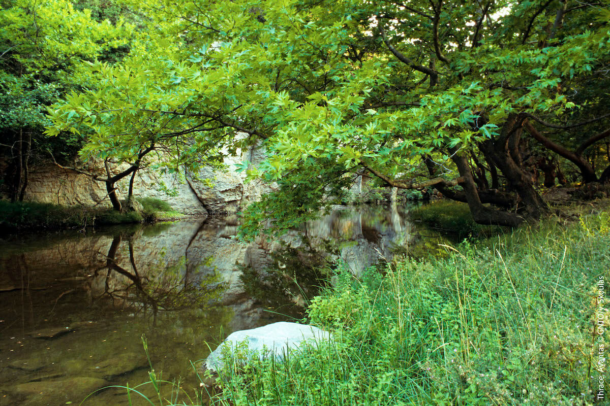 Tracja, Avantas, Evros