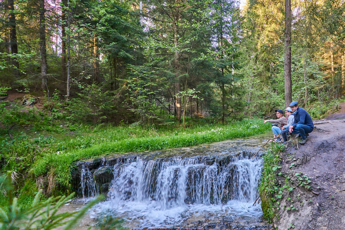 Las Roztocze Roztocze – kraina malowniczego wypoczynku - Wasza Turystyka