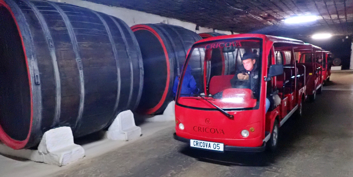 Po piwnicach jeździmy elektrycznymi samochodami. /fot. Mieczysław Pawłowicz