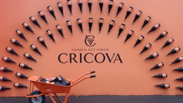 Piwnice Cricova odwiedza rocznie 140 tys. turystów./fot. Mieczysław Pawłowicz