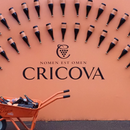 Piwnice Cricova odwiedza rocznie 140 tys. turystów./fot. Mieczysław Pawłowicz