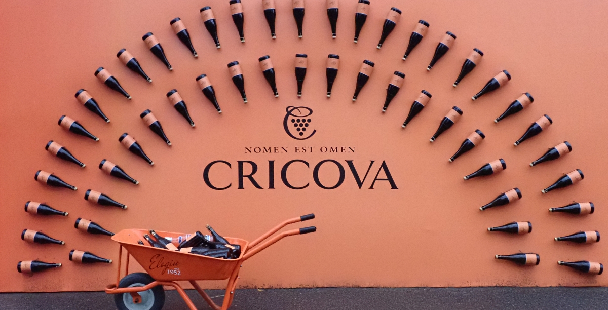 Piwnice Cricova odwiedza rocznie 140 tys. turystów./fot. Mieczysław Pawłowicz