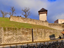 Zamek w Trenczynie jest jednym z najważniejszych w Dolinie Wagu. /fot.: Mieczysław Pawłowicz