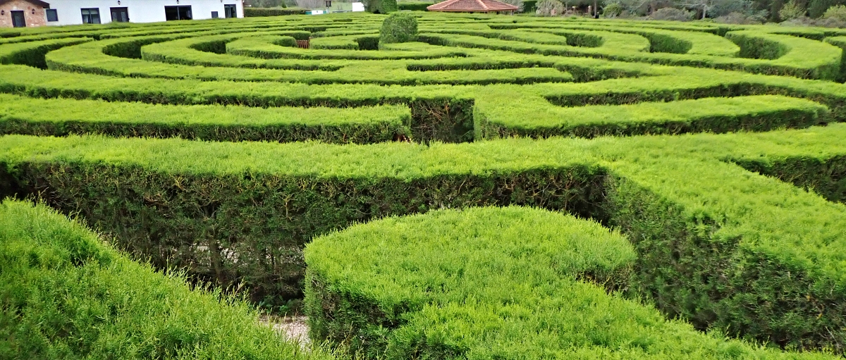 W labiryncie CyHerbia można się zgubić./fot. Mieczysław Pawłowicz